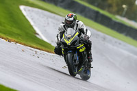 PJ-Motorsport-Photography-2020;anglesey;brands-hatch;cadwell-park;croft;donington-park;enduro-digital-images;event-digital-images;eventdigitalimages;mallory;no-limits;oulton-park;peter-wileman-photography;racing-digital-images;silverstone;snetterton;trackday-digital-images;trackday-photos;vmcc-banbury-run;welsh-2-day-enduro